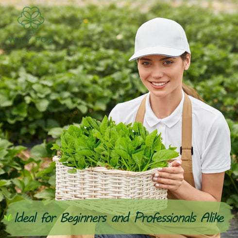 100 Summer Premium Malabar Spinach Seeds - Heirloom, Non-GMO Seeds for Planting Easy-to-Grow Climbing Vegetable, Fast