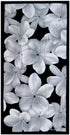 KC Hawaii Aloha Pua Beach Towel, 30" X 60"