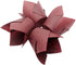 180 Pieces Tulip Baking Paper Cups Cupcake Muffin Liners in 3 Colors: White, Natural, Brown