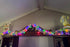 2 PACK 13.5 50 Easter String Lights, Multi Color Pastel Christmas Lights with White Wire, FT LED Waterproof Plug