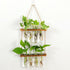 ORANGE NEI 2 Hiuxume Tiered Wall Hanging Planter, Wooden Stand with Glass Planter Test Tube Vase for Hydroponic Plant