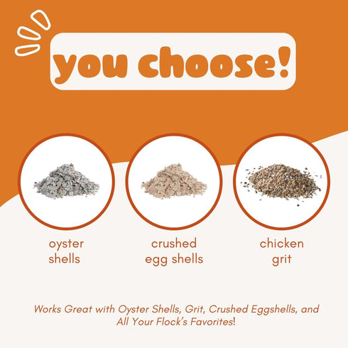 Revolutionary Chicken Chicken Oyster Shell Feeder and Grit Feeder Combo