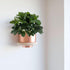 GTIDEA Artificial Shrubs Plants Fake Silk Schefflera Bushes, Faux Greenery Leaf Arrangements, 2pcs for Indoor Outdoor