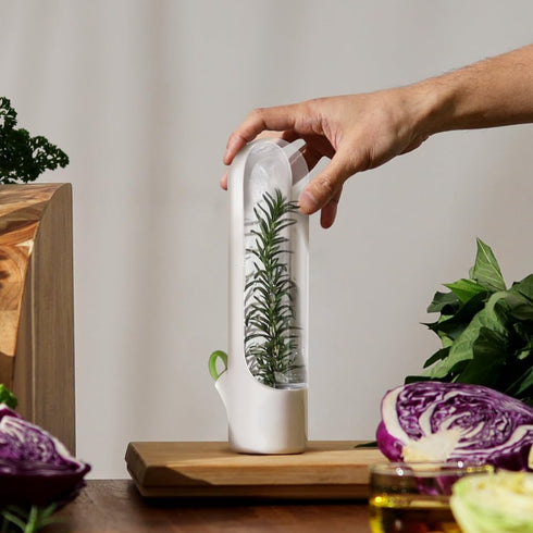 Prepara Mini Herb Keeper - White and Green