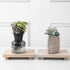 Small Wood Tray Pedestal Stand, Farmhouse Bathroom Decor, Decorative Wooden Riser for Kitchen Soap Dish Holder