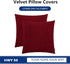 HWY 50 Burgundy Red Velvet Throw Pillow Covers, 20x20 Inch, Pack of 2 Soft Cozy Decorative Cushion Cases