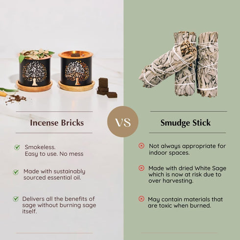 California White Sage Incense Bricks - 2 x 9 Bricks & Tree of Life Exotic Burner by Aromafume for Positivity