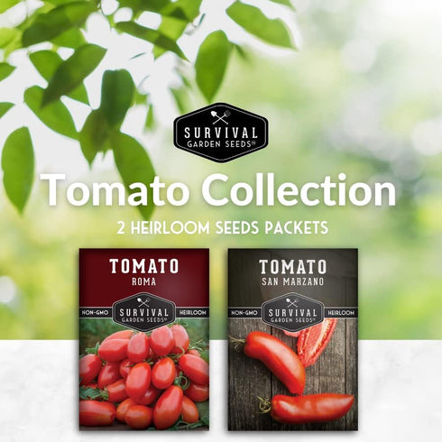 2 Pack Paste Tomato Seeds for Planting Variety with Roma & San Marzano, Heirloom Non-GMO Tomatoes for Sauce, Canning