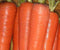 Seed Kingdom Carrot Tendersweet Great Heirloom Vegetable Seeds by (1 Lb Seeds)