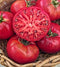 Pink Ponderosa Heirloom Tomato Seeds - Large Tomato - One of the