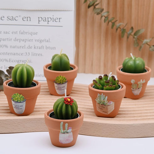 Succulent Candles, Novelty Cactus Tealight Candle Decorations for Baby Shower Party Favors, Terrarium Cacti Home Decor