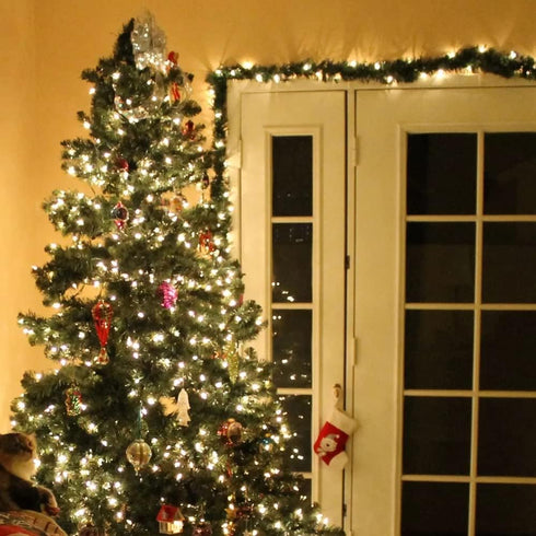 8FT 10 Count Bulbs LIDORE Super Bright Clear Mini Christmas Tree String Lights, Gift for Decoration, with Brown Cord