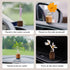 WAYUTO Mini Glass Vase with Walnut Stand - Self-Adhesive Plant Container for Home & Car