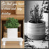 MADOCEGO 2 8.5"x5.7") Pcs Wood Plant Stand Wooden Plant Stool Round Riser Display Stand Flower Pot Holder Low Plant Pot