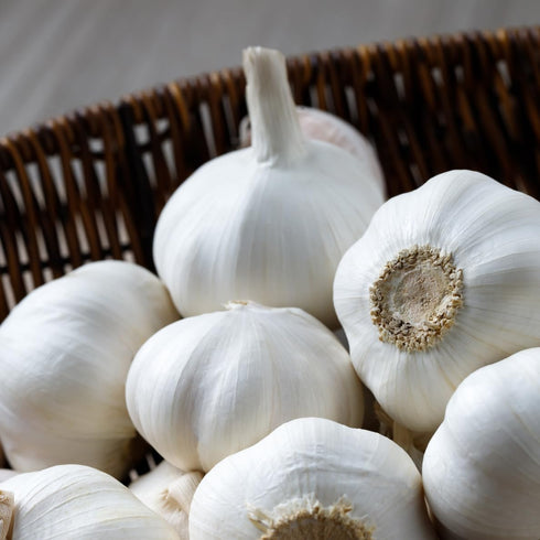 4 Bulbs Pack Bulbs Heirloom Hardneck Garlic for Planting - Music Garlic for Planting, Seed Garlic