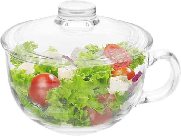 WHJY Small Glass Bowl, Microwave Safe Soup Bowl with Lid and Handle, Clear Oatmeal Bowl for Soup, 500ml/16oz