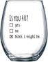 40th Birthday Gifts Wine Glass for Women and Men - Funny Is You 40 Gift Idea for Mom Dad Husband Wife, 15oz Party