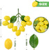 Pack of 6 Artificial Cherry Lemon Banana Peanut Orange Mulberry Bunch Simulation Plastic Fake Fruit for Decoration