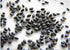 The Lucky Stars 250 95% Rare Red Dragon Fruit (Pitaya) Seeds - Germination Rate - Thanh Long RUT - Hylocereus