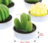 Swpeet 12Pcs Decorative Succulent Cactus Tealight Candles Kit, Cute Smokeless Plants for Festival Wedding Props