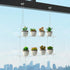 OtNiap 2-Tier 16inch,Indoor Clear Hanging Window Plant Shelves Windows Wall Hanging Plant Stand Flower Display,Flower