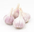 Fresh garlic Gourmet Chesnok Red Garlic Bulbs Hard Neck - 4 Bulbs - Garlic