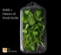 JA Kitchens 2 Pack 20 Ounce Large Herb Clamshell Container - Disposable