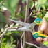 WYF Pruning Scissors, Professional Garden Shears - Sharp Stainless Steel Blades for Garden Harvesting, 8.1IN