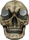 DWK "Deadly Devourings" Skull Salt & Pepper Spice Holder, Gothic Home Decor, Skeleton Decorative Kitchen Spice Holder