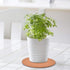 8" Round Cork Coasters, Cork & Plastic Plant Saucers for Gardening, Absorbent Cork Mat for Wine, Coffee & Drinks (Set
