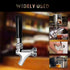 FERRODAY Polished Brass Draft Beer Faucet, Stainless Steel Core for Keg Tap Tower & Kegerator