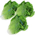 Generic 3pcs HC2430-L3 Realistic Artificial Fake Lettuce, Fake Vegetable, Artificial Vegetables for Decoration, Home