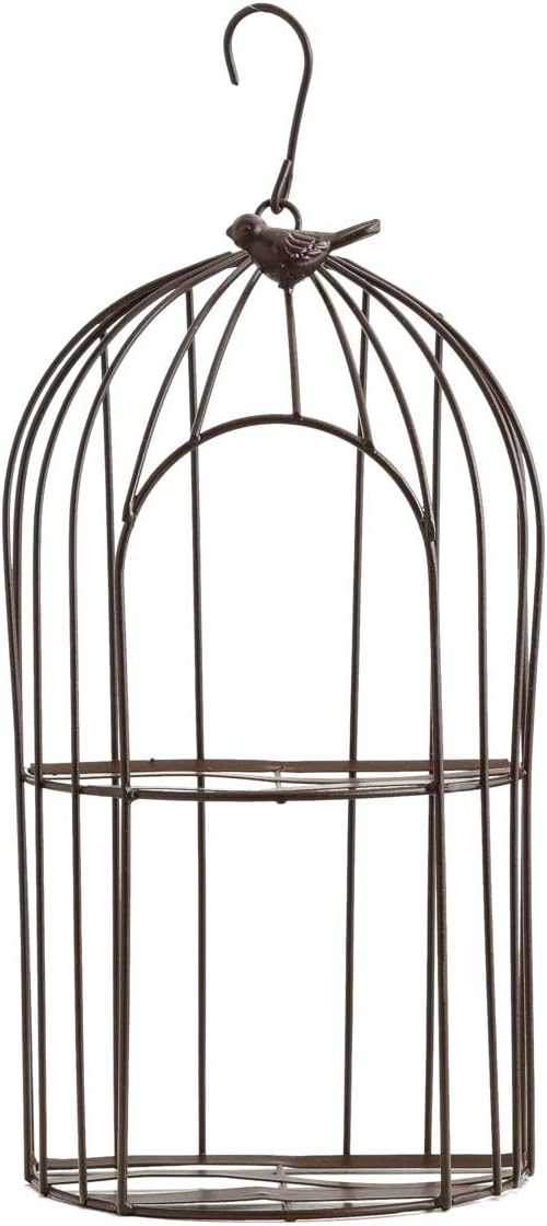 TJ Global 2-Plant Iron Birdcage Hanging Planter, Metal Wire Flower Pot Basket