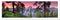 Award Winning Landscape Panoramic Art Print Poster: Yosemite National Park (Sunset)