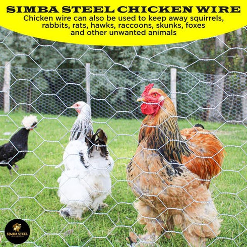 24 150 2 20GA PM24x150x2 Chicken Wire in x FT x Mesh x | Poultry Wire Netting | Hot Dipped Galvanised | Hexagonal