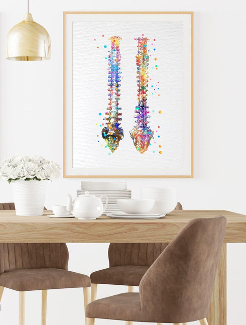 Dignovel Studios 11X14 DN529 Unframed Human Spine Bone Anatomy Medical Doctor Watercolor Art Print Poster Housewarming