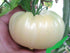 Seeds Giant White Tomato Great White 20 Seeds for Planting