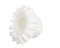3527 Cone Shape Gear with Pin