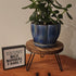 8'' 5-10 Inch Wood Plant Stand Indoor Outdoor, Wooden Planter Stands Fit Pot, Plant Stool Flower Pot Stand Gardening