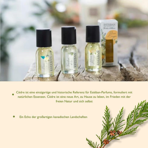 Esteban Paris Cedre Refresher Oil 15ml