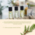 Esteban Paris Cedre Refresher Oil 15ml