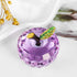 Crystal Apple Figurine Paperweight, Handmade Purple Statue Ornament, Collectible Home Decoration, Gift Box Included