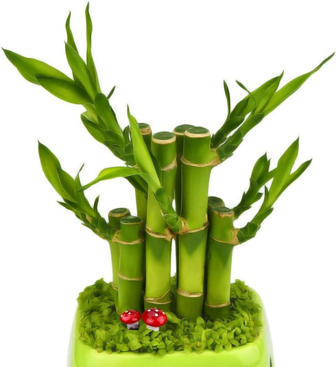 yueton Pack 100 of Mini Foam Mushroom for Garden Ornament Flower Pots Bonsai Micro Landscape Decor (Red)