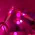 200 Pink LED Christmas Lights with Pink Wire, Pack of 2 Sets, 33 ft 100 Count UL Certified String Light