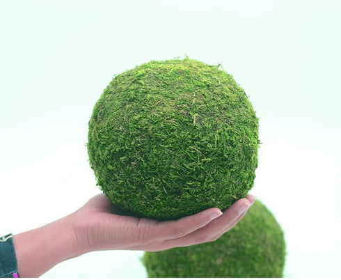 Nice purchase Handmade Natural Green Plant Moss Balls for Home Party Display Decor Props (6 in)