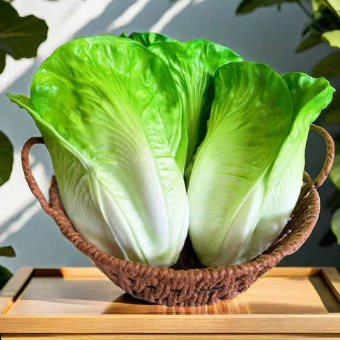 Generic 3pcs HC2430-L3 Realistic Artificial Fake Lettuce, Fake Vegetable, Artificial Vegetables for Decoration, Home