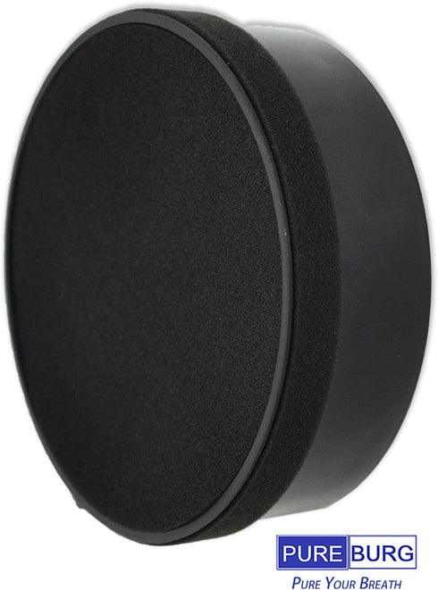 PUREBURG Replacement Filter - Compatible with GENIANI G-2000-FL & TCL CISNO iHome KJ65F-A1 KJ65F-A2, 2-Pack H13 HEPA