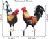 Bad Piggies Acrylic Chicken Yard Stakes - Outdoor Garden Art, Rooster & Chicken Statues for Pathway, Patio & Lawn