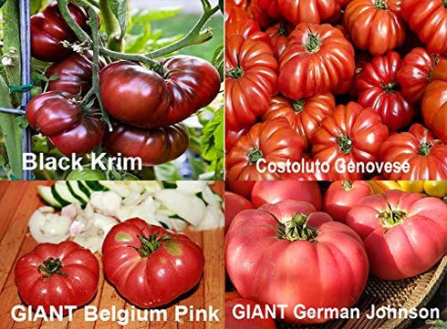 Harley Seeds 30 16 This is A Mix Rainbow Deluxe Tomato Seeds Mix Varieties, Heirloom Non-GMO, Indeterminate, Old