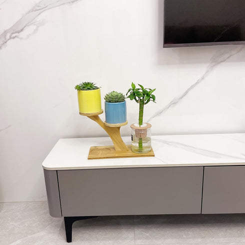 Window Sill Plant Shelf,Desk Desktop Bamboo Plant Stand,Table Succulent Plant Stand for Home, Office, Living Room, Bedroom Decoration